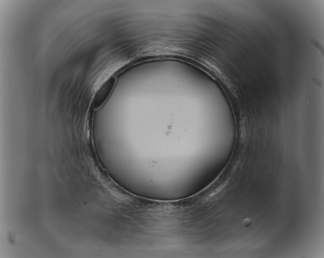 X0000100840885200807111149