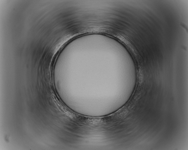 X0000100840886200807111149