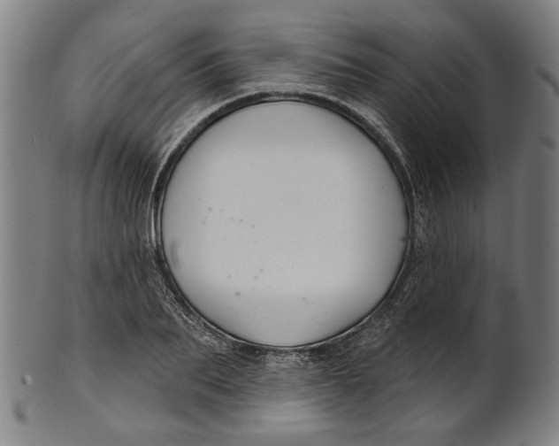 X0000100840887200807111149