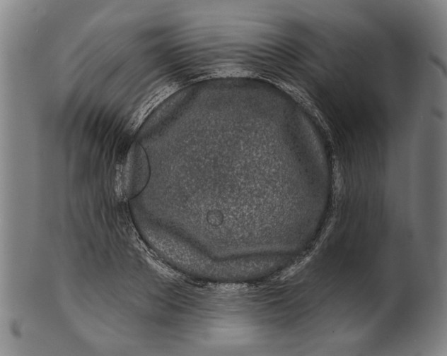 X0000100840889200807111149