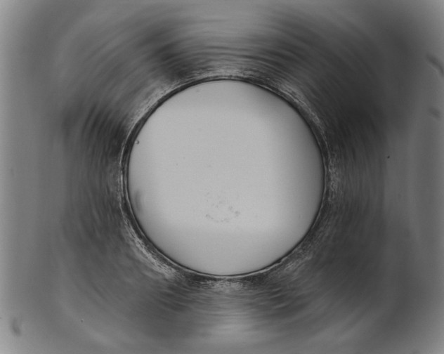 X0000100840890200807111149