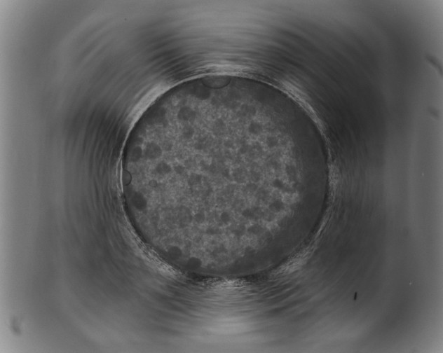 X0000100840891200807111149