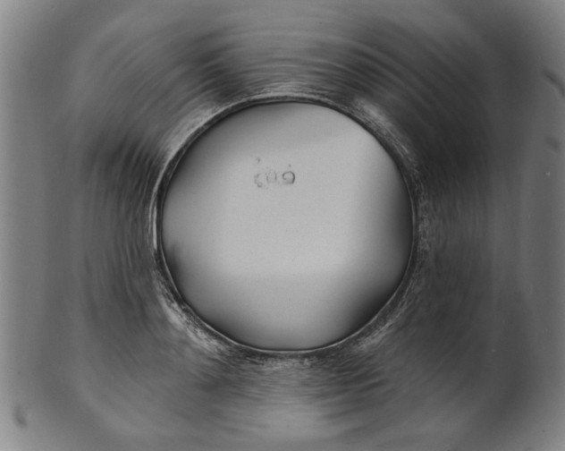 X0000100840892200807111149