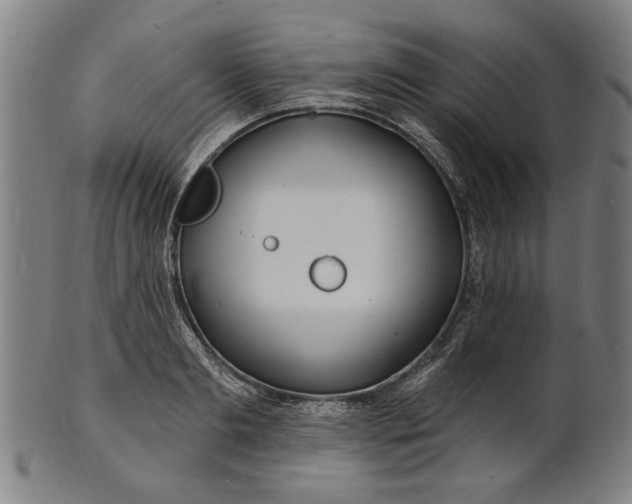 X0000100840893200807111149