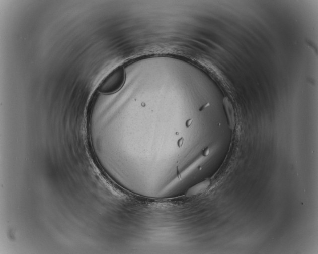 X0000100840894200807111148