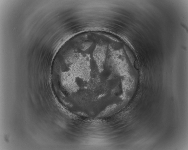 X0000100840895200807111148