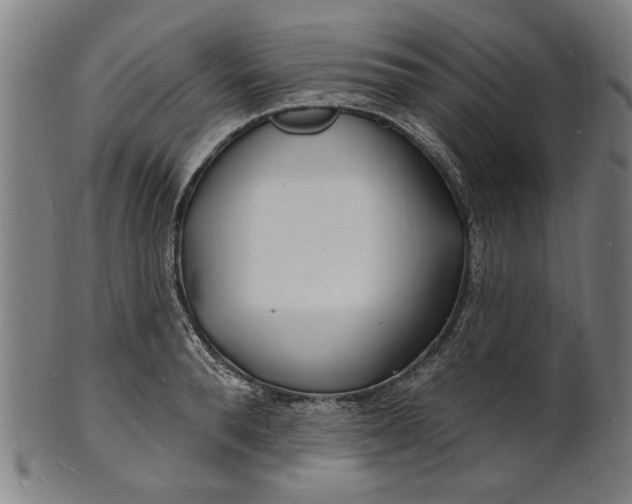 X0000100840896200807111148