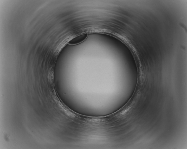 X0000100840897200807111148