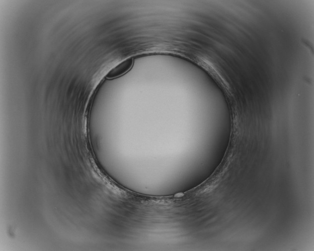 X0000100840900200807111148