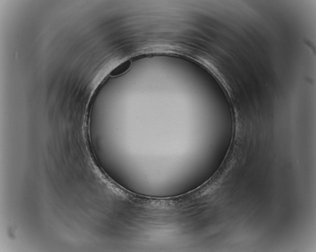 X0000100840901200807111148