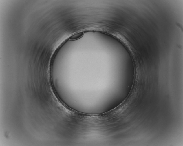 X0000100840902200807111148