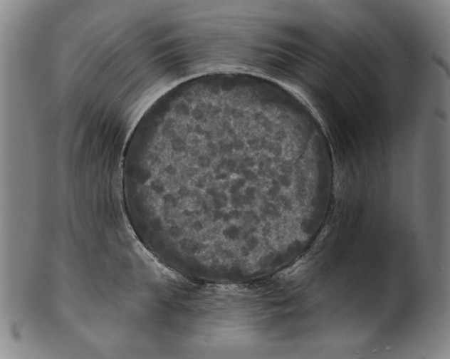 X0000100840903200807111148