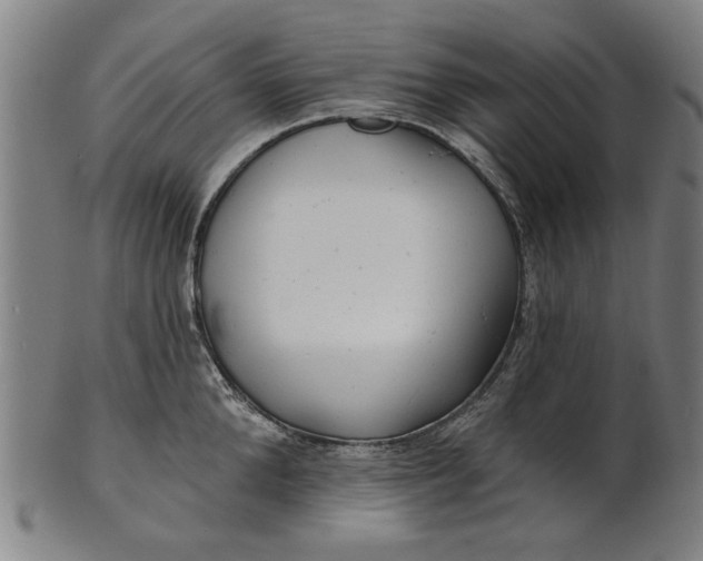 X0000100840904200807111148