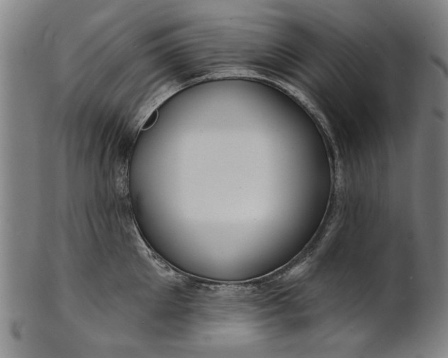 X0000100840905200807111148