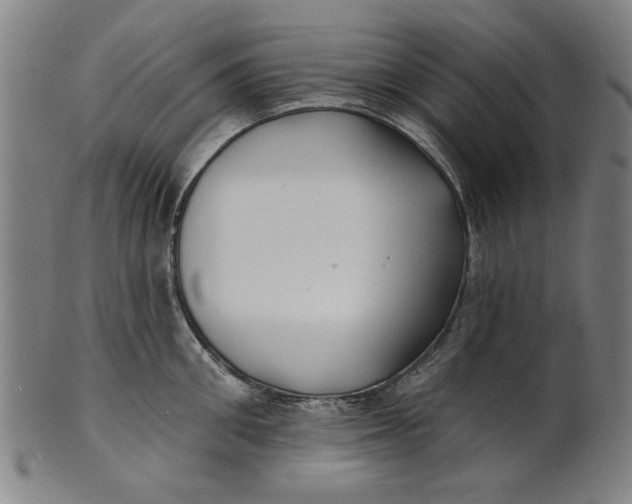 X0000100840906200807111148