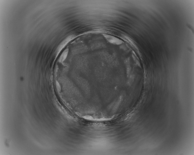 X0000100840907200807111148