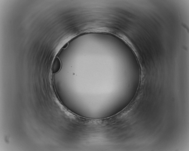 X0000100840909200807111148