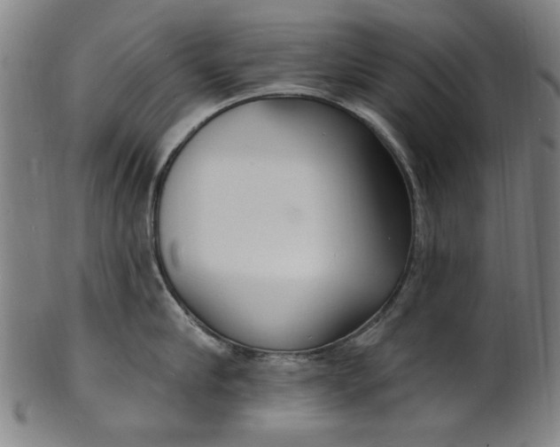 X0000100840910200807111148