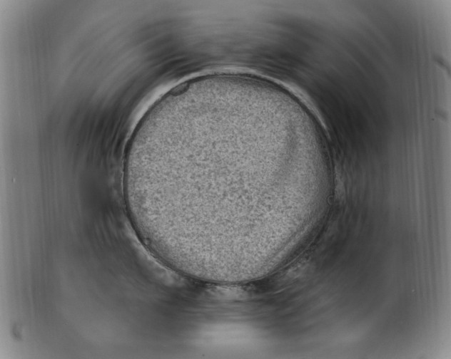 X0000100840911200807111148