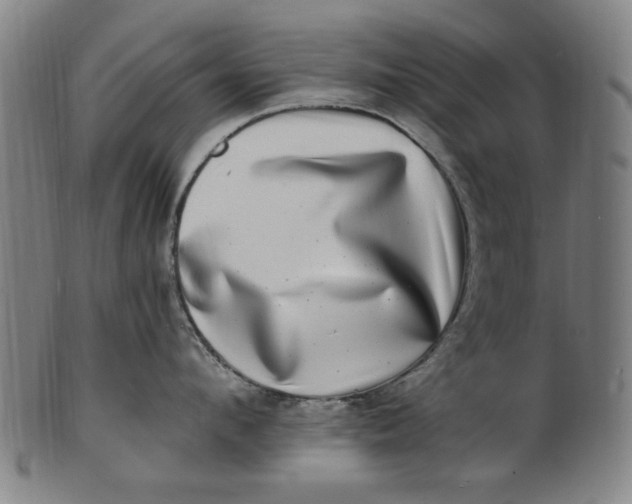 X0000100840912200807111148