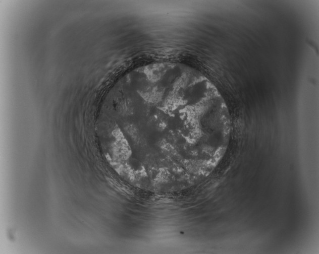 X0000100840913200807111148