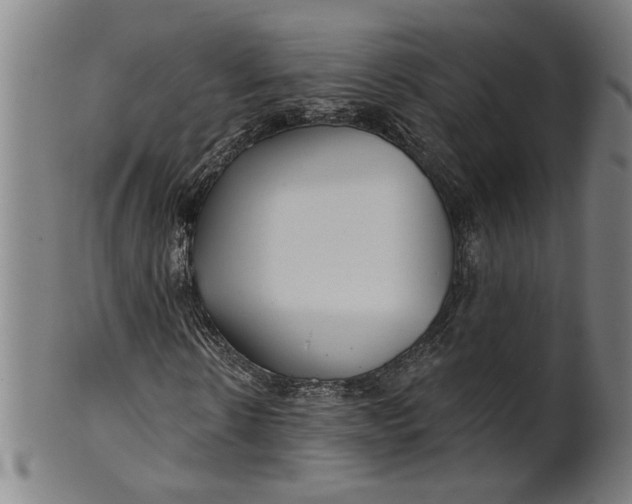 X0000100840914200807111148