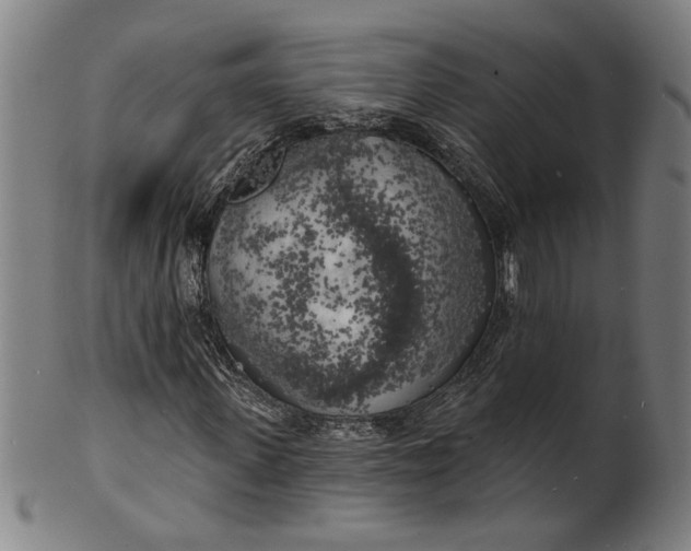 X0000100840915200807111148