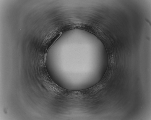 X0000100840916200807111148