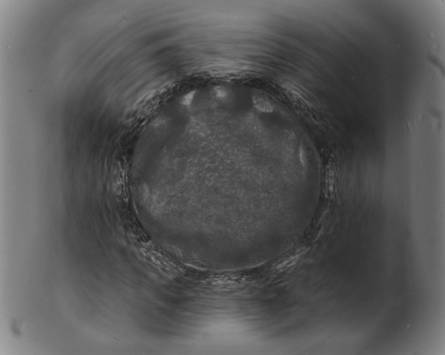 X0000100840917200807111148