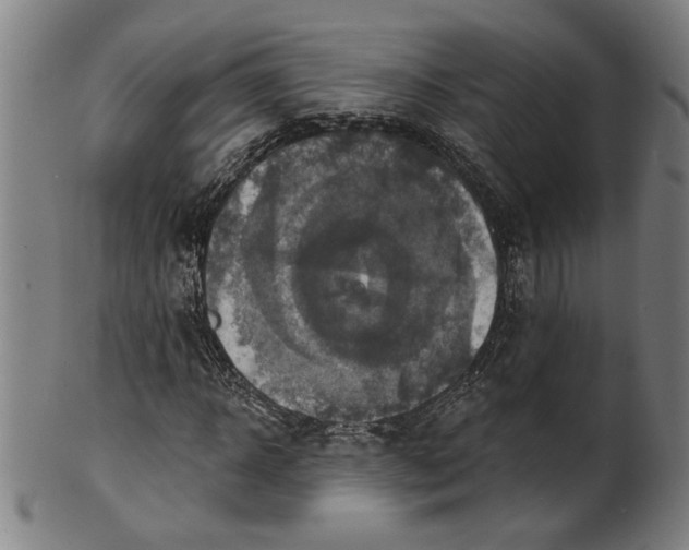 X0000100840918200807111148