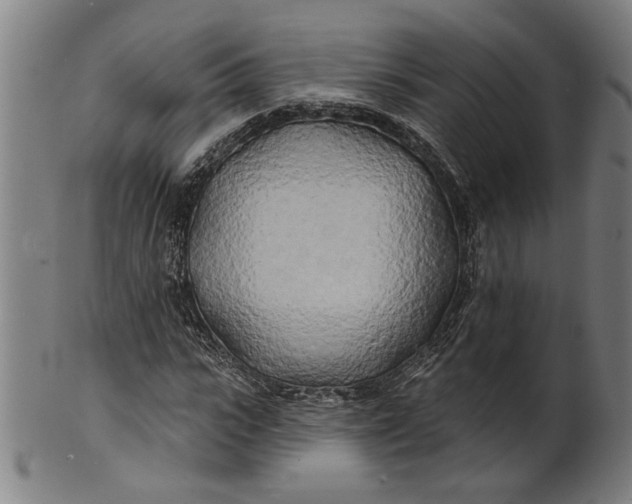 X0000100840919200807111148