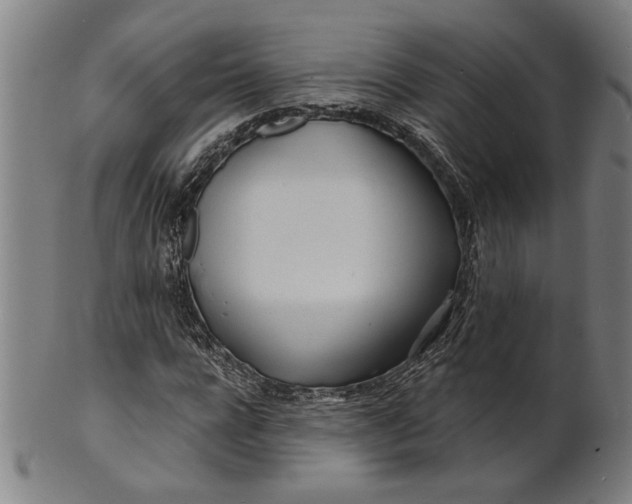 X0000100840920200807111148