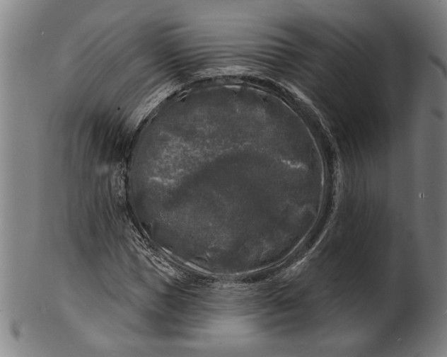 X0000100840921200807111148