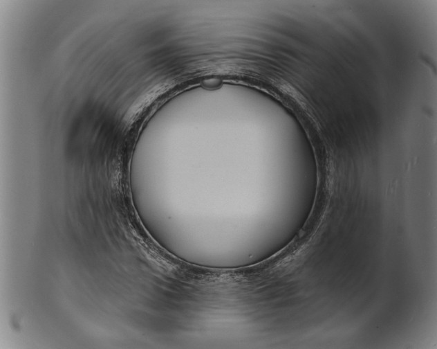 X0000100840922200807111148