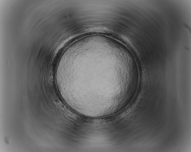 X0000100840923200807111148