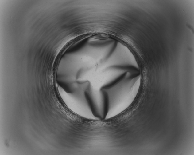 X0000100840924200807111148