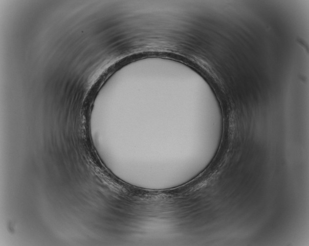 X0000100840926200807111148