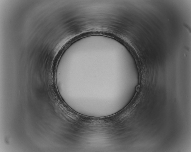 X0000100840927200807111148