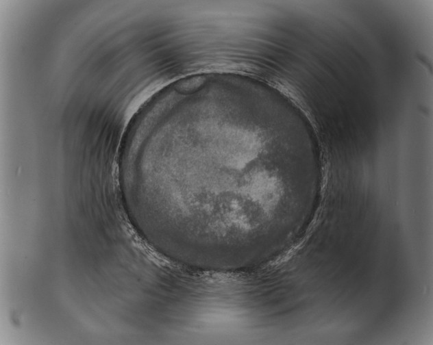 X0000100840928200807111148