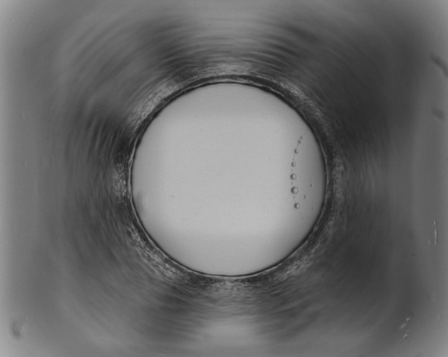 X0000100840929200807111148