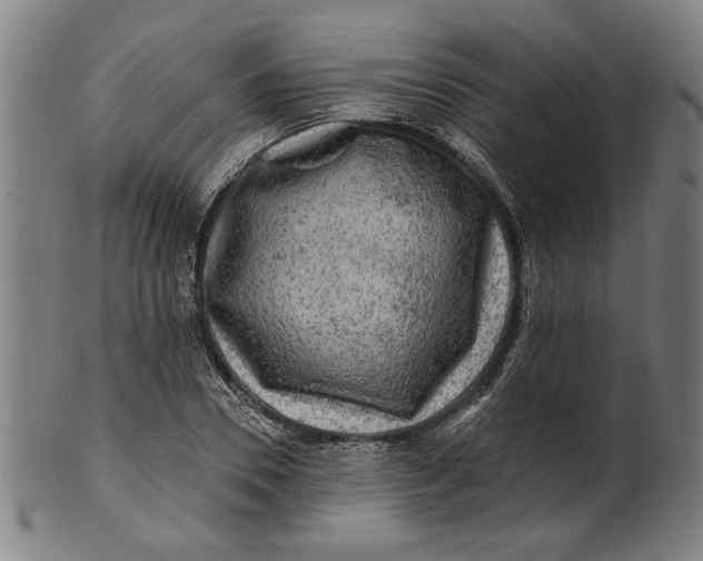 X0000100840930200807111148