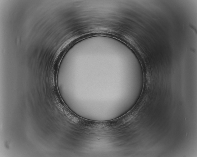 X0000100840931200807111148