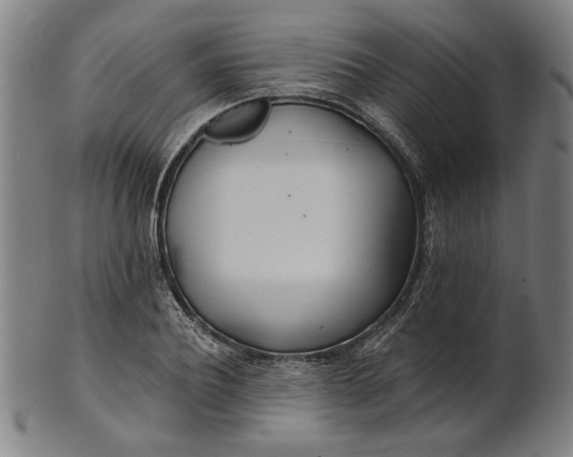 X0000100840932200807111148