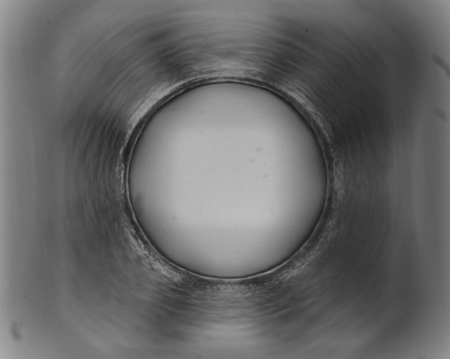 X0000100840933200807111148