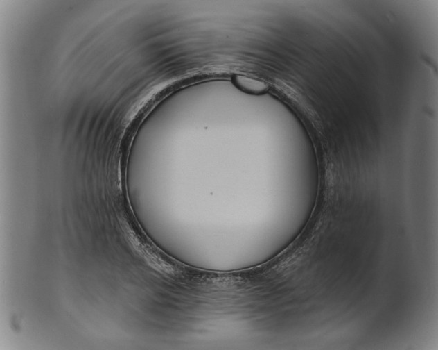 X0000100840934200807111148