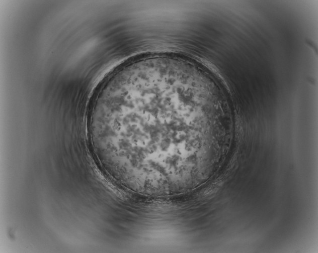 X0000100840935200807111148