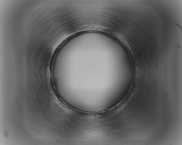 X0000100840936200807111148