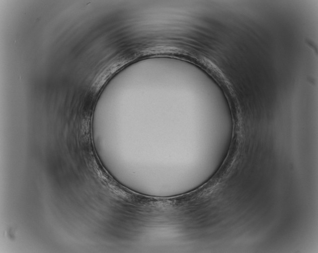 X0000100840937200807111148