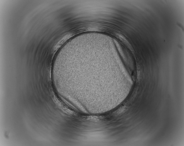 X0000100840938200807111148