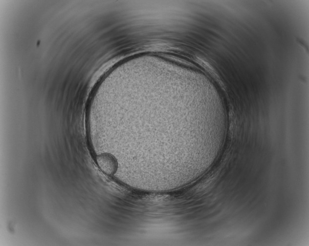 X0000100840939200807111148